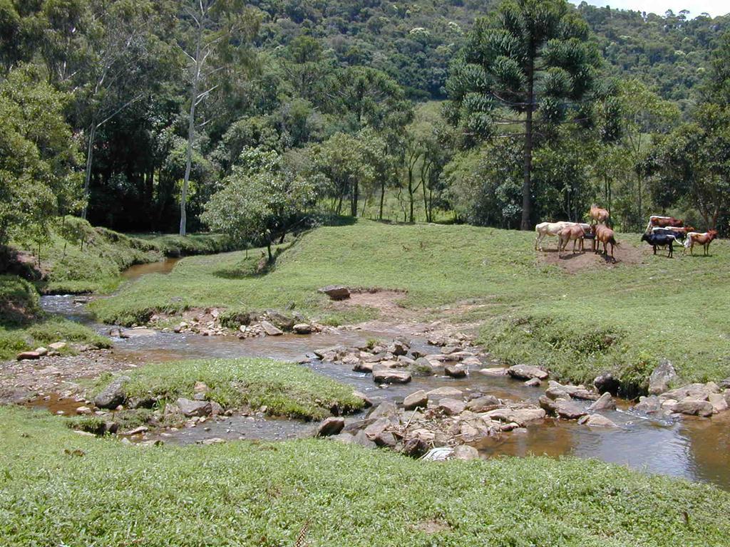 Apartamento Ferias Fazenda Usina 2 Bocaina de Minas Dış mekan fotoğraf