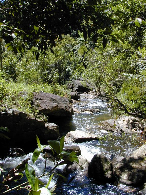 Apartamento Ferias Fazenda Usina 2 Bocaina de Minas Dış mekan fotoğraf