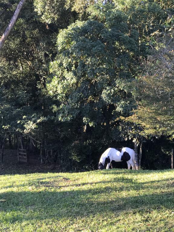 Apartamento Ferias Fazenda Usina 2 Bocaina de Minas Dış mekan fotoğraf