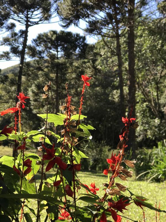 Apartamento Ferias Fazenda Usina 2 Bocaina de Minas Dış mekan fotoğraf